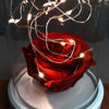 Kırmızı Solmayan Gül Işıklı Cam Fanus Lamba resmi