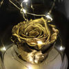 Işıklı Cam Fanus Gold Solmayan Gül Lamba resmi