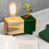 Yeşil Kaktüslü Masa Lambası resmi